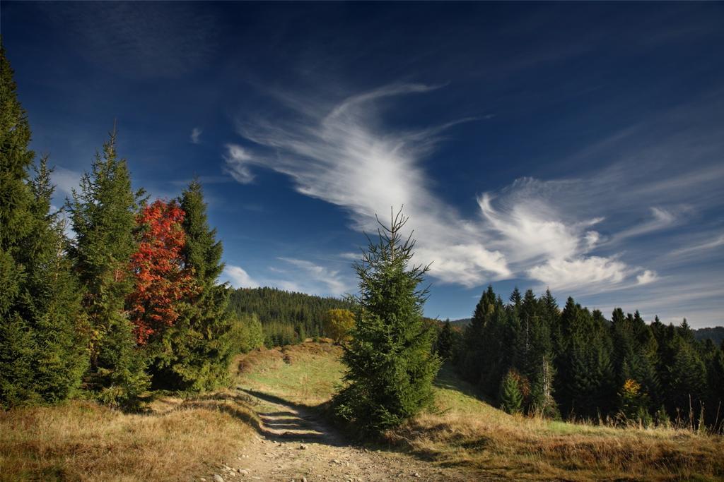 Domek Buflak Nowy Targ Cameră foto