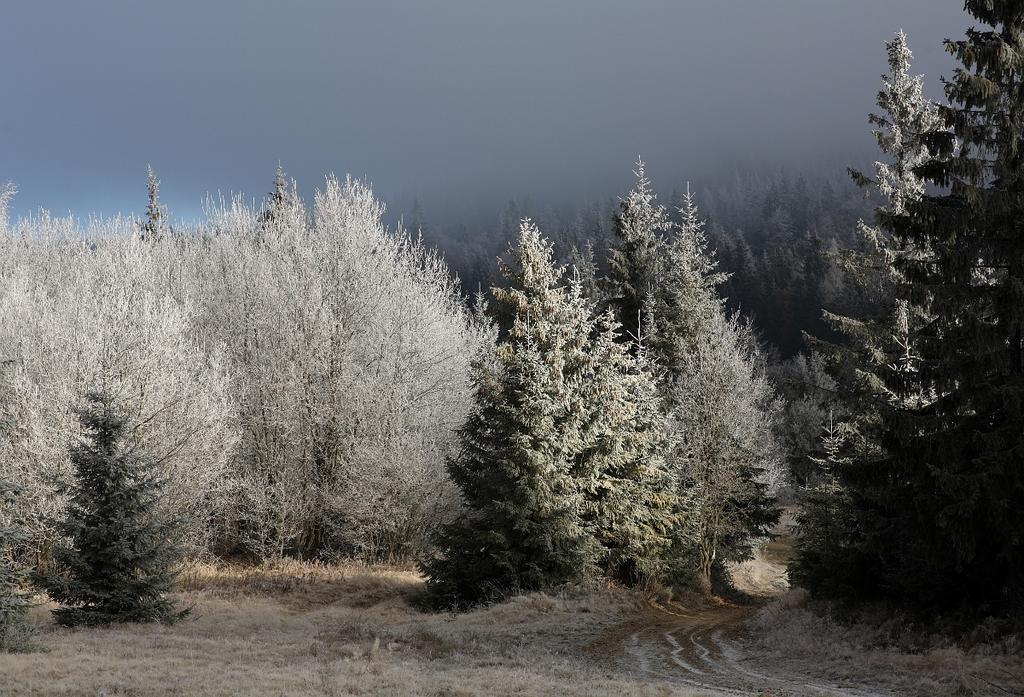 Domek Buflak Nowy Targ Cameră foto